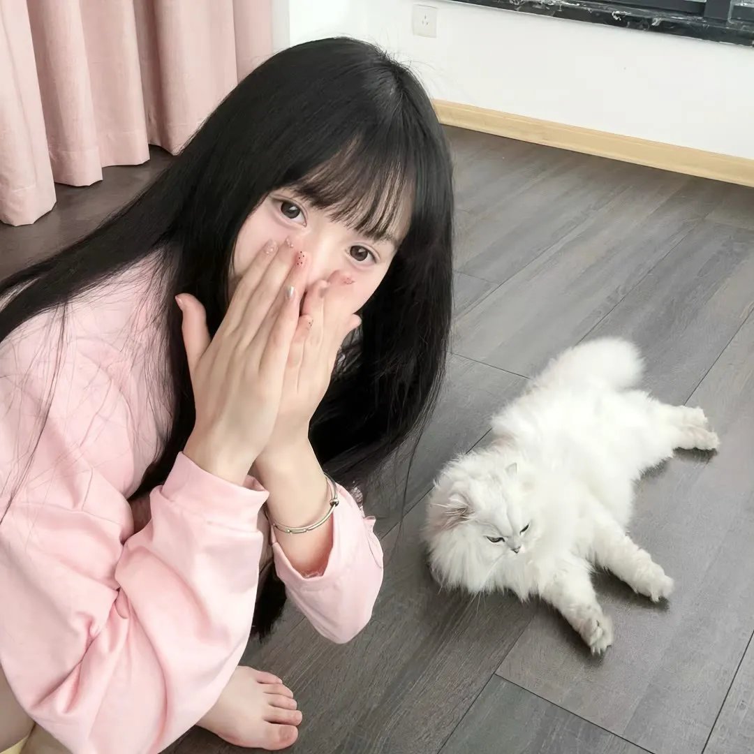 冬鹰